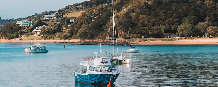 yachts and sailboats